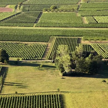 Lejlighed Hyper Centre Parking + Calme + 50m Du Blvrd *