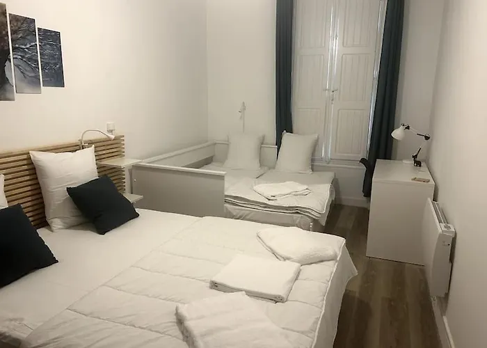 Hyper Centre Parking + Calme + 50m Du Blvrd Cahors