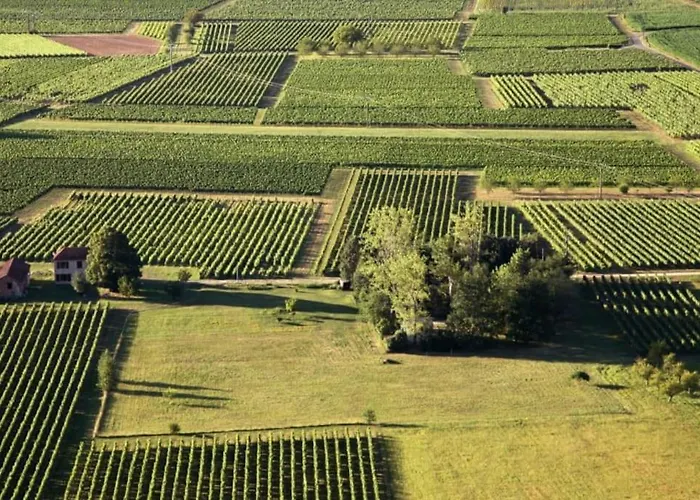 Lejlighed Hyper Centre Parking + Calme + 50m Du Blvrd *